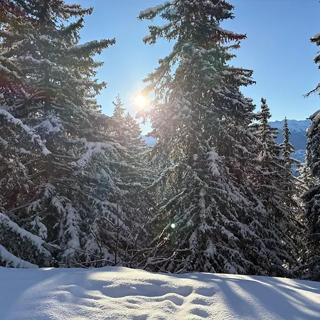Corps Au Coeur *